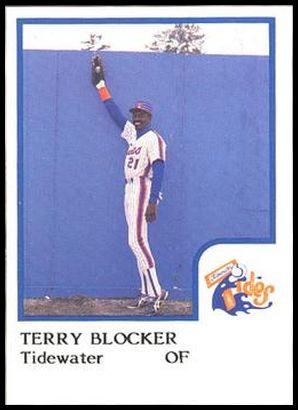 86PCTT3 2 Terry Blocker.jpg